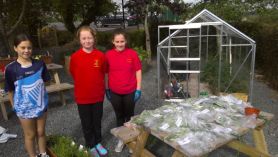 Pupils Enjoy harvest Time at Burrenreagh